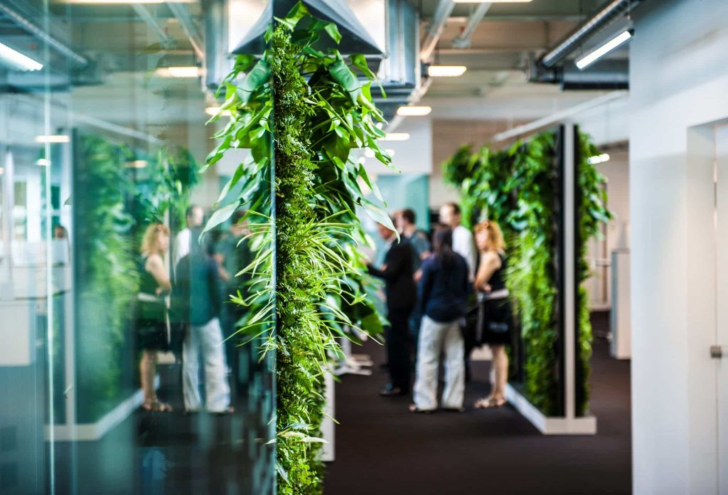 Mur de plante GREENWALL