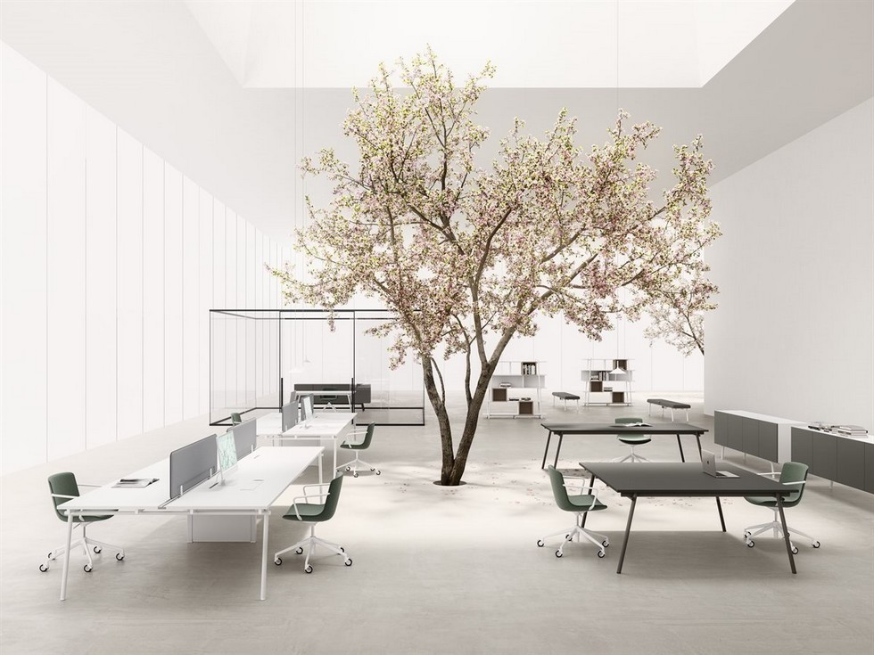 Vue d'ensemble d'un open space lumineux intégrant des bureaux bench KNOT blancs et des tables noires, dans une ambiance biophilique avec un arbre central.