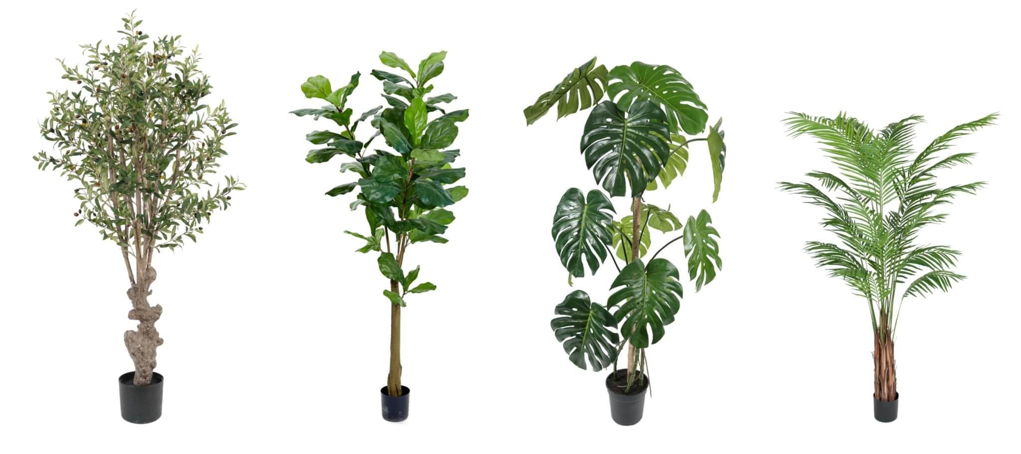 Plantes artificielles intérieur pour aménager et décorer les espaces — free download