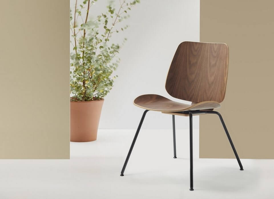 Chaise en bois design finition noyer
