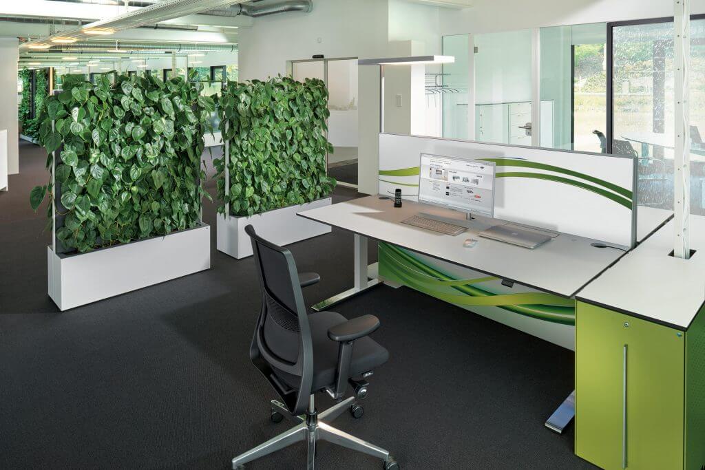 Cloison acoustique de bureau avec vraies-plantes