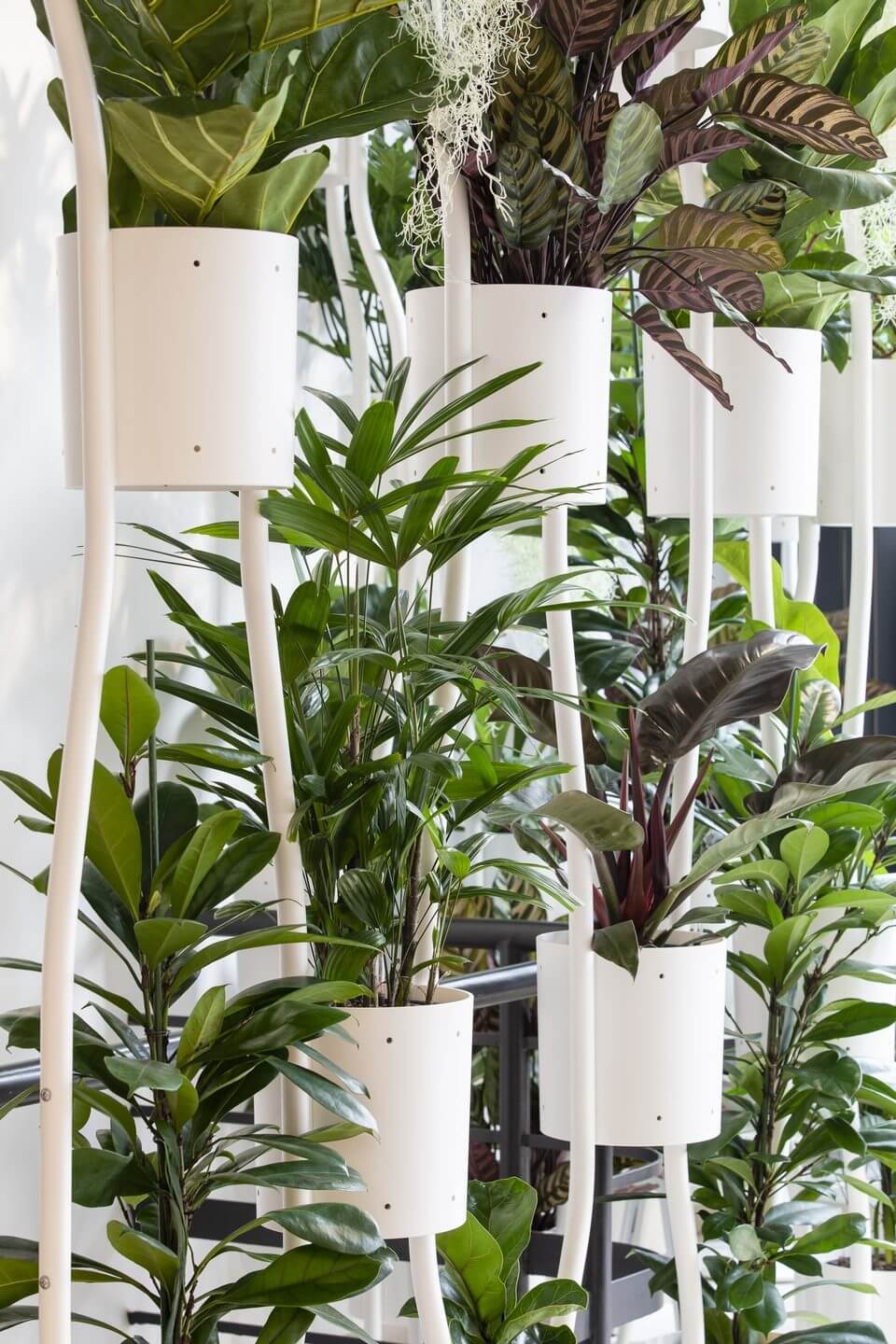 Cloison végétale design pour open space PARAVERT
