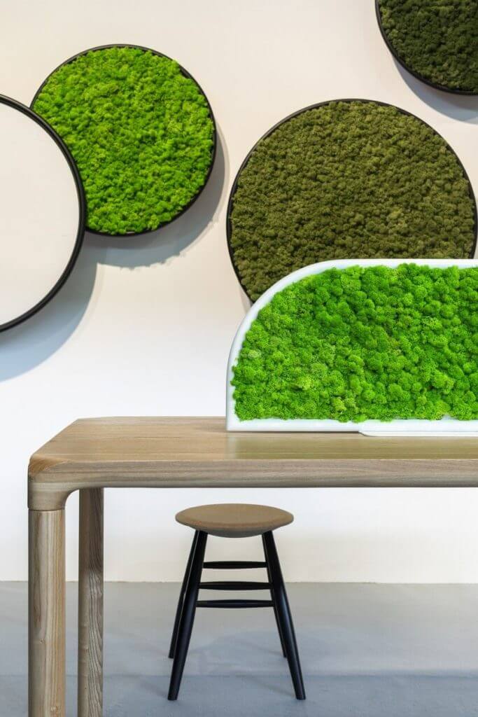 Cloison de bureau naturelle MOSS