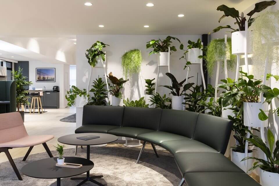 Cloison de plantes pour les bureaux PARAVERT