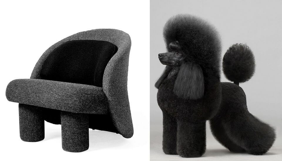 Fauteuil design contemporain POODLE