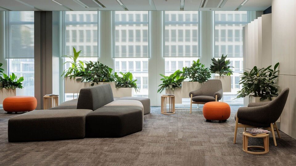 Ensemble de poufs design STONE dans un espace d'attente lumineux et convivial pour les professionnels